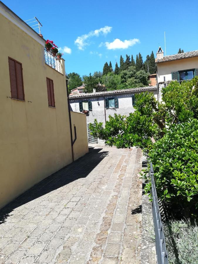Alloggio Turistico Civico 4 博尔塞纳 外观 照片
