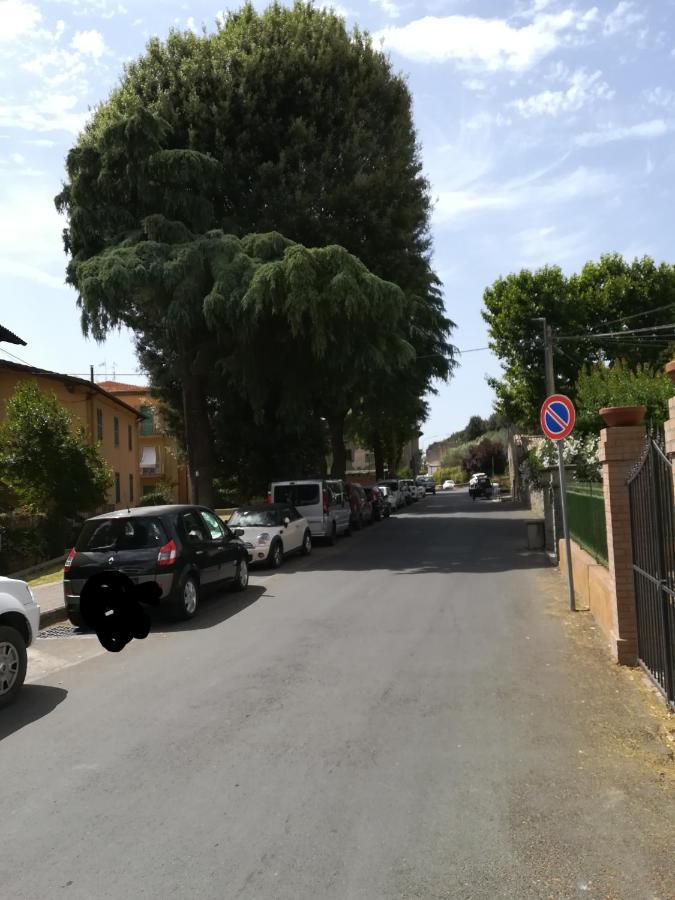Alloggio Turistico Civico 4 博尔塞纳 外观 照片