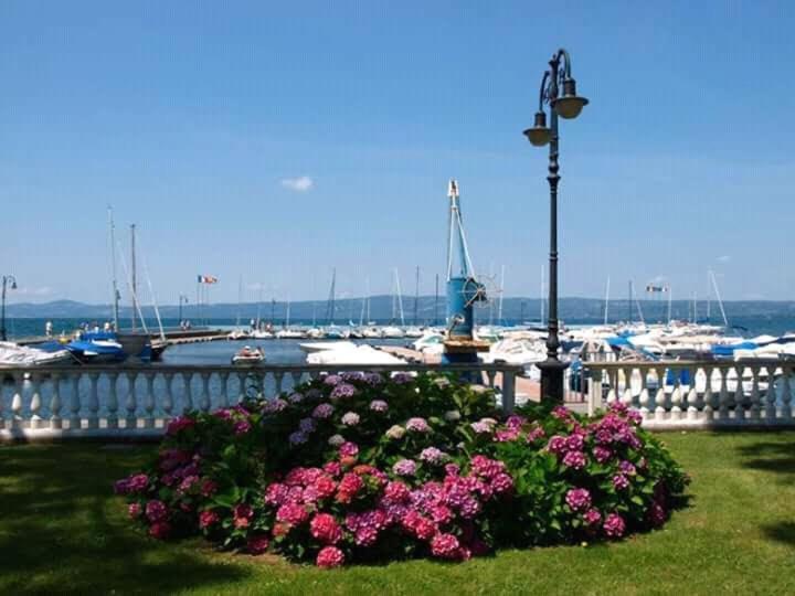 Alloggio Turistico Civico 4 博尔塞纳 外观 照片